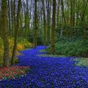 Stephanie Keenum - @StephanieKeenum - Twitter