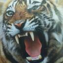 Blake Hinton - @BlakeHinton - Twitter