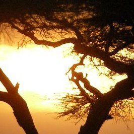 endake's profile picture. “Empieza la aventura” - Mayoristas especializados en viajes de aventuras por África.