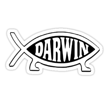 Twisted humour, loves beer & grub, hates celery and politics (and political celery)
