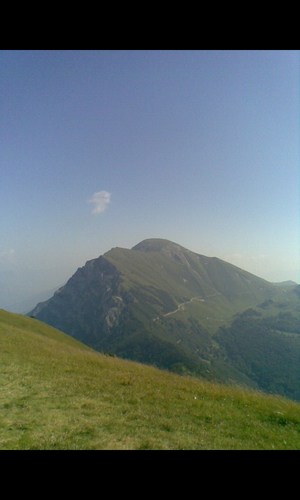 riccardostacul1's profile picture. 