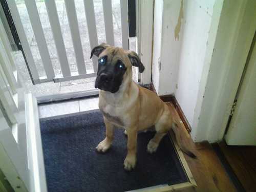 johntysonkim's profile picture. 