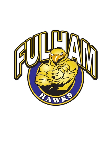 Fulham Hawks Handball Club, Sports Clubs, Dodgeball, Boxing, Tchoukball, 2TR Football,