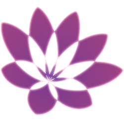 Sklep internetowy z oryginalnymi azjatyckimi kosmetykami Holika Holika i seaNtree!