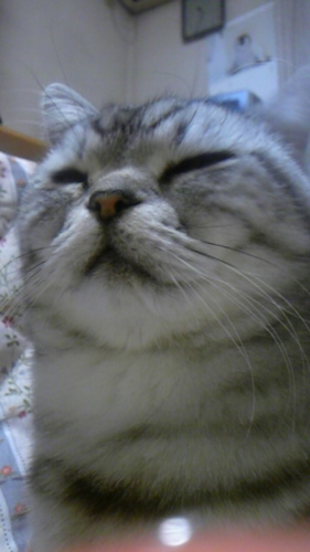 OLしてます。ミスチル、コブクロ、GREENが好きです♪小遣い稼ぎ系/猫/お笑い/不思議現象/ファッション仲良くしてね(^O^)http://t.co/rvcNzizC3K