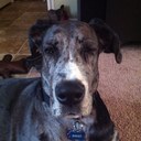 Helene Benson - @VeggieBenson - Twitter