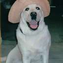 Kathy Ryan - @KathyRyan1965 - Twitter