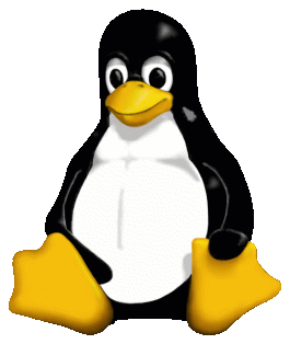 MyNameIsZK1234's profile picture. Linux that is my hobby.
