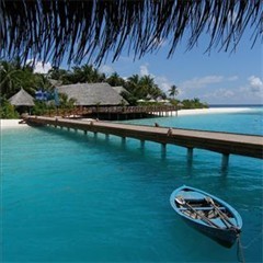 couponqueen88's profile picture. 