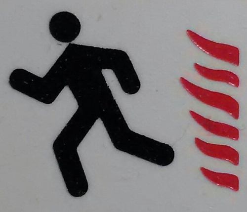 thedailyobserve's profile picture. Constantly noticing the little things in life and then pretending that other people care about them.