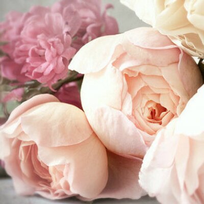 أكتوبرية Snyo0oreta Twitter