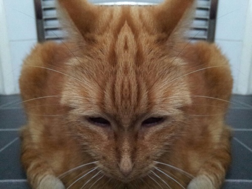 brianbetts1's profile picture. 