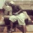 Profile Picture of COMEDIANBLACKERNIE (@LAUGHNOW716) on Twitter
