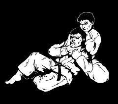 Learn martal arts grappling styles from experts around the country. A Twitter for news and info on grappling.