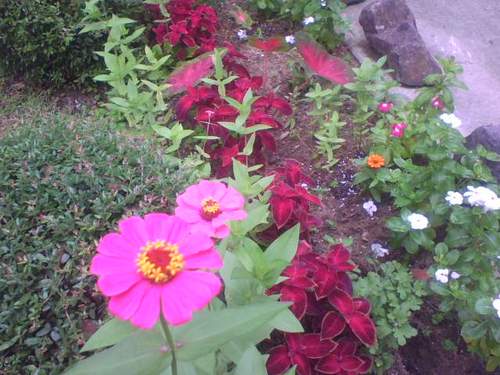 jjfwilliams's profile picture. Principal of HES