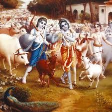 SaveCowsIndia's profile picture. || Supporter Of Total BAN on COW SLAUGHTER & BEEF EATING In India||Fighting For A National Law||Join me in this Campaign.