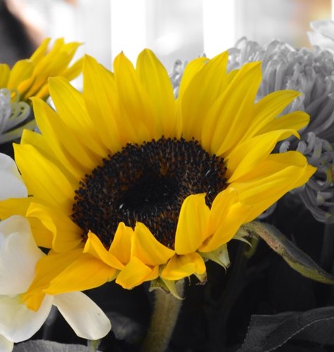 hirdy3005's profile picture. 