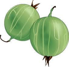 krizhovnick's profile picture. 