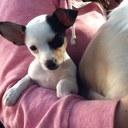 Cathy Carlin - @cathycarlin - Twitter