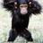 LeeVlaminck's profile image