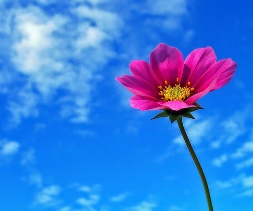 ربي إن رَأيتَني أبتَعِد عنكَ فَردَّني إليكَ ردّاً جَميلاً ,, [♥]