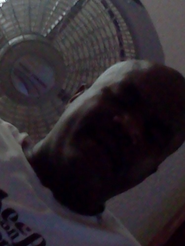 dougacowboyfan's profile picture. 