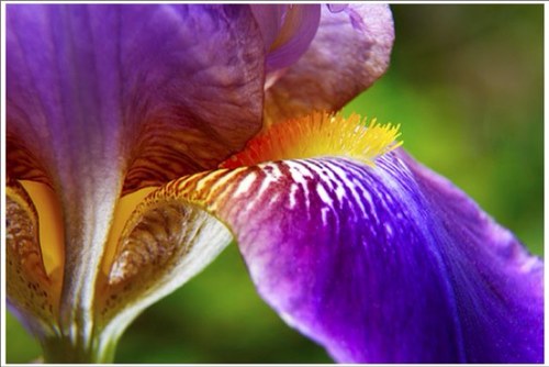 RachelCB512's profile picture. 