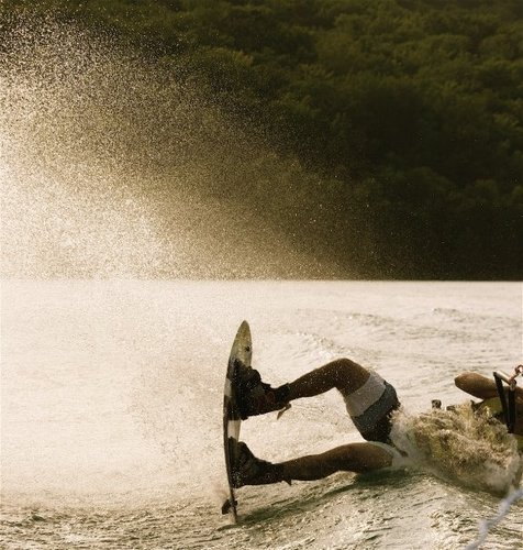 stieve_wonders's profile picture. #231 --- #517 --- #269