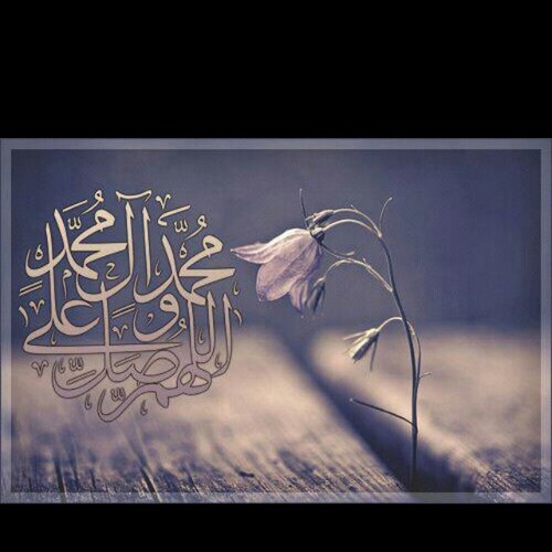 AqeelaNashaba's profile picture. 