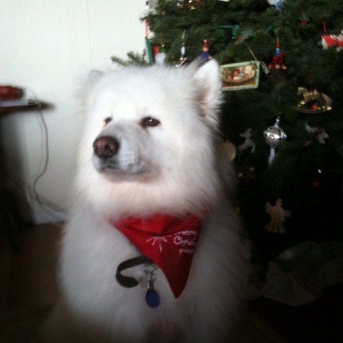 Jlons's profile picture. 