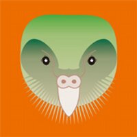 KAKAPO➤Endangered (@178kakapo) 's Twitter Profile Photo KAKAPO➤Endangered (@178kakapo) 's Twitter Profile Photo