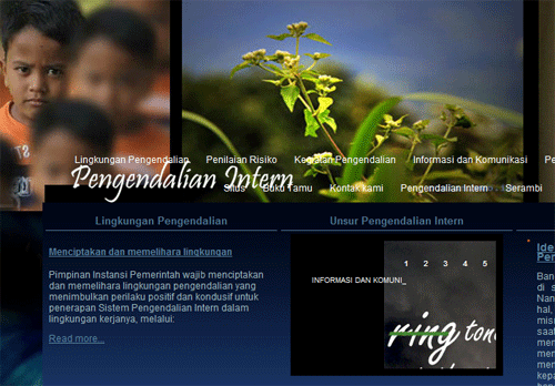 Social science, accounting, Strategic planning, accountability, performance mgt, budgeting