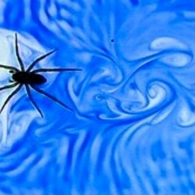 fluid ps1