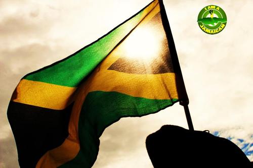 nipm's profile picture. 