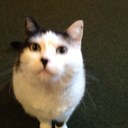 Fred Redmond - @fredmond61 - Twitter