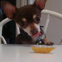 amber crowder - @cute_amber_99 - Twitter