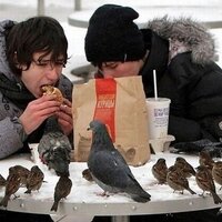 おもろいBOT (@omoboibotbot) 's Twitter Profile Photo