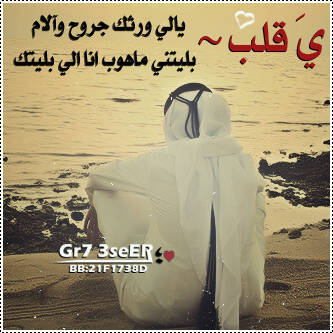 عضة اسد ولا نظرة حسد