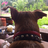 Pilyong_Aso's profile image