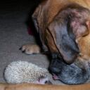 April Burrell - @eviltwin19 - Twitter