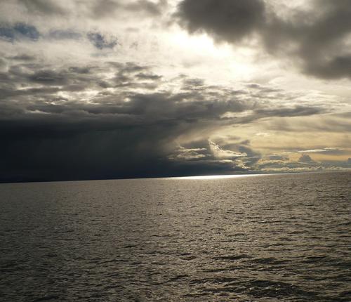 vilemita's profile picture. 