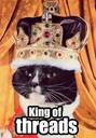 I love a cozy couch, skewered mice, and fried birds. Click my link and double your twitter business opportunity advertising! Suivez le chat! Follow the Cat!