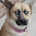 Az (@odddingo) Twitter profile photo Az (@odddingo) Twitter profile photo