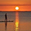 Tom Gaston - @tmgjrTom - Twitter