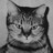asato's profile image