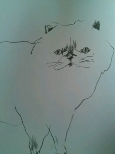 armyofeeel's profile picture. 