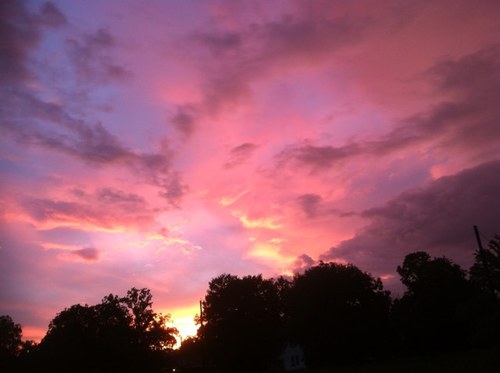 DebbieTBrown's profile picture. 