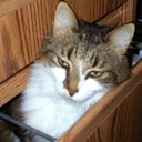 Marilee Benson - @Austinumc - Twitter