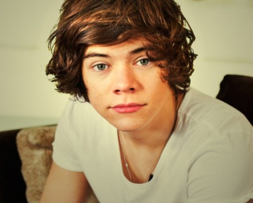Just another girl obsessed with One Direction!
Harry Edward Styles is adorable! Follow me, i'll follow back:]