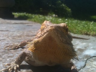 guydvk's profile picture. 